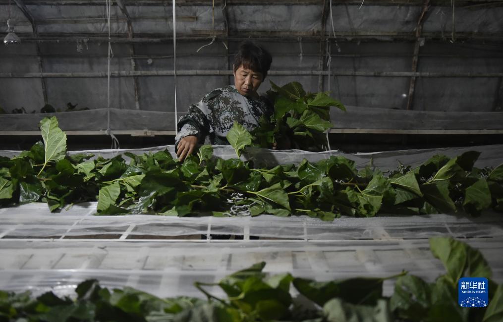 能申请跳槽彩金的网站